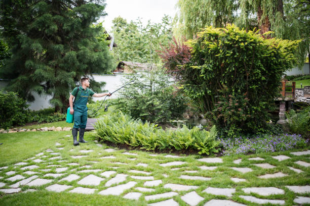 Best Pest Prevention Services  in Petoskey, MI
