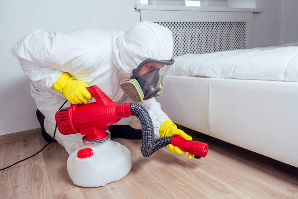 Best Pest Control Treatment  in Petoskey, MI