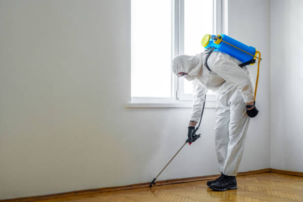 Best Residential Pest Control  in Petoskey, MI