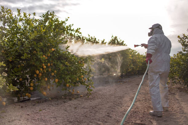  Petoskey, MI Pest Control Pros
