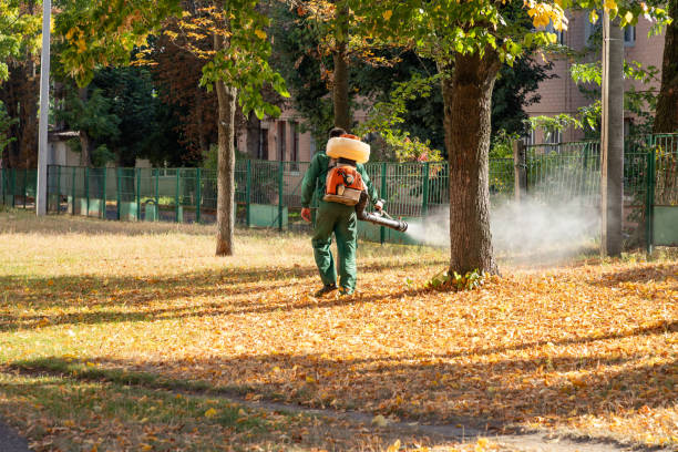 Best Bird Control  in Petoskey, MI