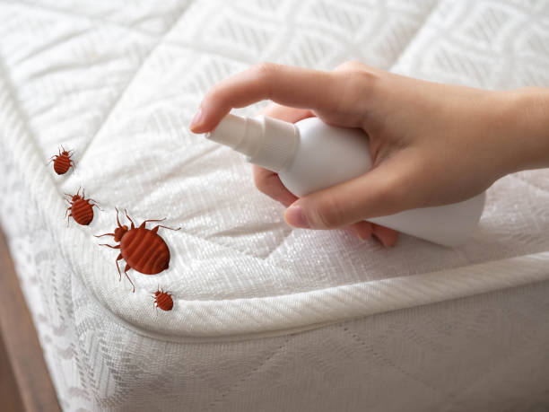 Petoskey, MI Pest Control Company