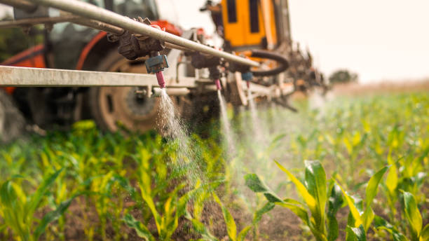 Best Commercial Pest Control Services  in Petoskey, MI