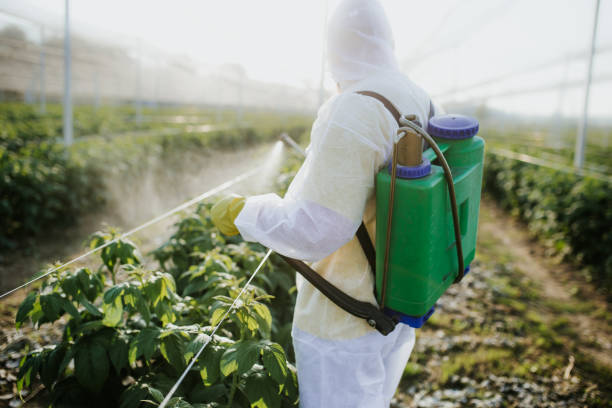 Best Cockroach Control Services  in Petoskey, MI